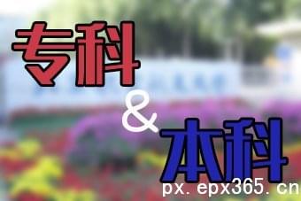 ھW(wng)j(lu)x_www.epx365.cn